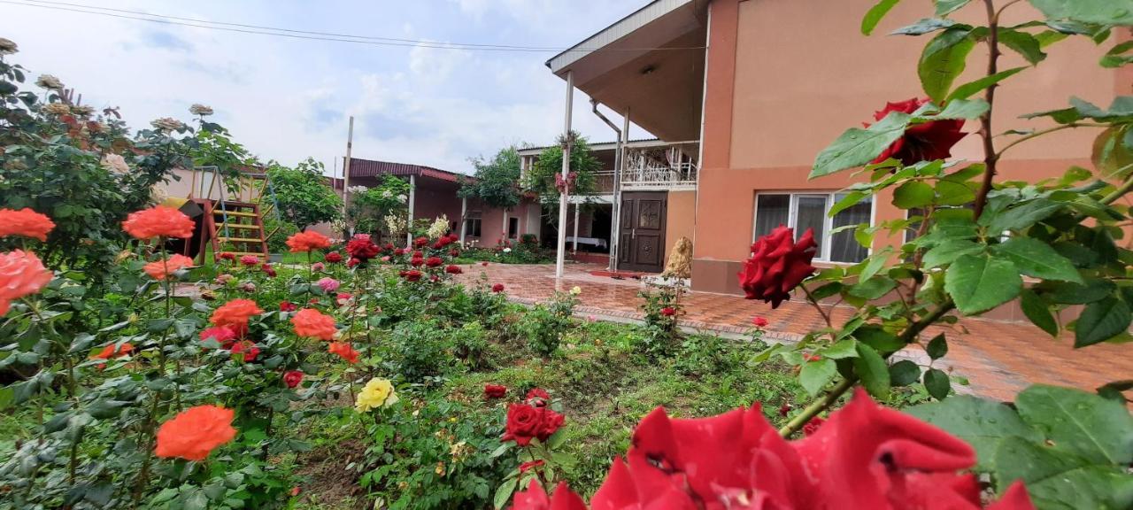 Vip Hostel Turkistan Bagian luar foto
